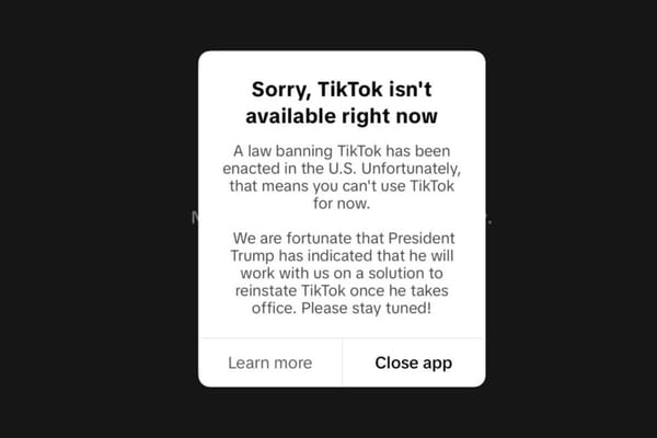 TikTok é suspenso nos Estados Unidos: Entenda as consequências